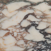 Calacatta Viola Marble Tile