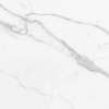 Italian Statuary Marble Tile