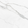 Italian Statuary Marble Tile